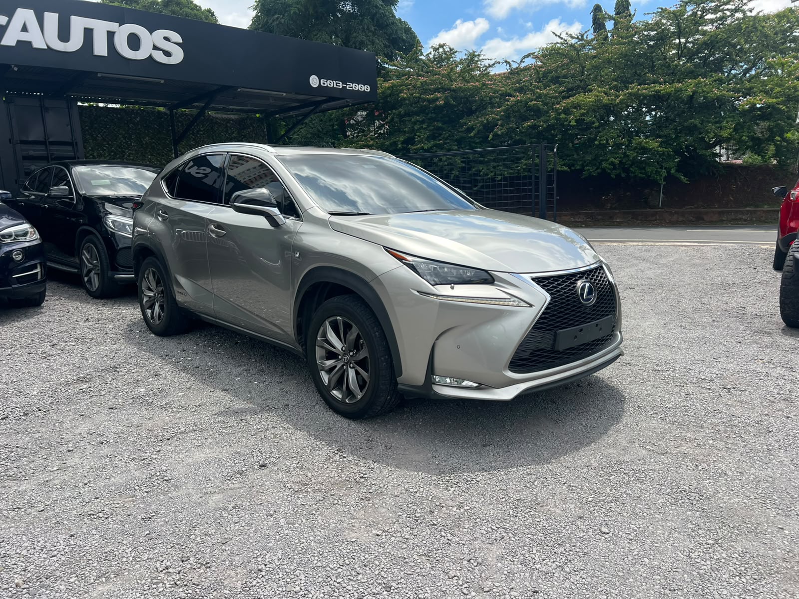 LEXUS NX 300H